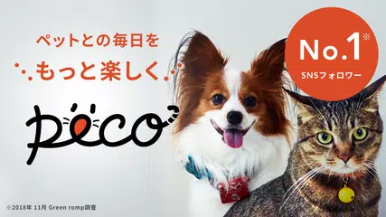 Peco ペコ いぬねこペット動画 かわいいどうぶつ動画で癒しをお届け Apk 5 17 1安卓下載 下載peco ペコ いぬねこペット動画 かわいいどうぶつ動画で癒しをお届け Apk最新版本 Apkfab Com