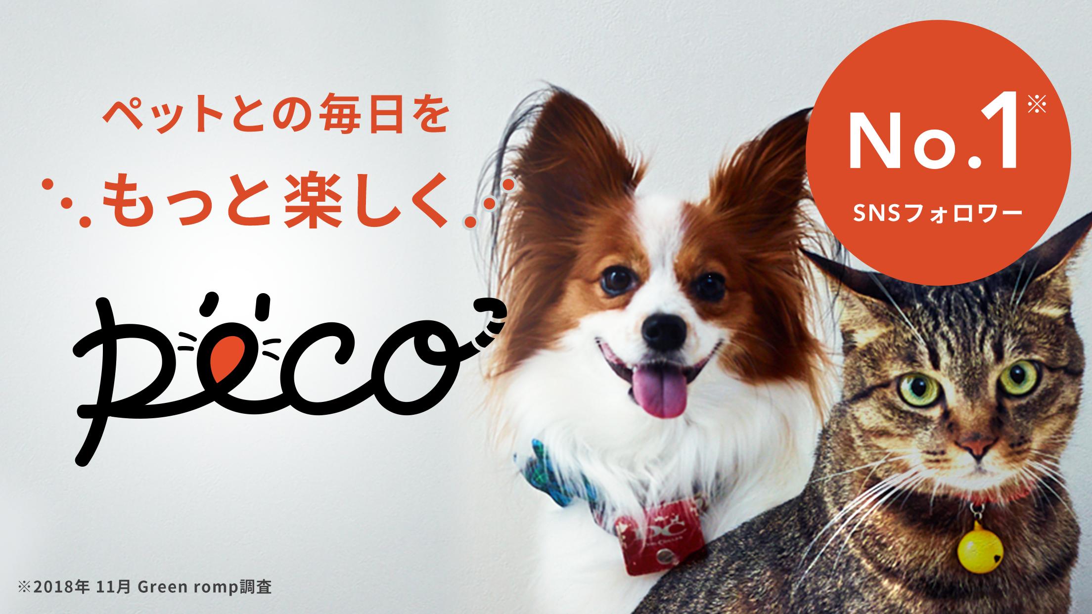 Peco ペコ いぬねこペット動画 かわいいどうぶつ動画で癒しをお届け Para Android Apk Baixar