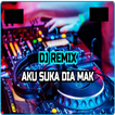 DJ Aku Suka Dia Mak Yang Sedang Sedang Saja