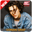 Conan Gray Heather Songs Offline Full Album