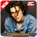 Conan Gray Heather Songs Offline Full Album APK