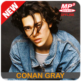 Conan Gray Heather Songs Offline icon