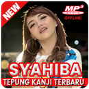 Syahiba Saufa Koplo Terbaik -Tepung Kanji APK
