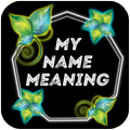 ”Name Meaning