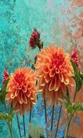 Dahlia wallpaper اسکرین شاٹ 1