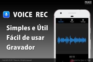 Gravador de Voz imagem de tela 3