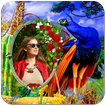 Peacock Photo Frames HD