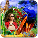 Peacock Photo Frames HD-APK