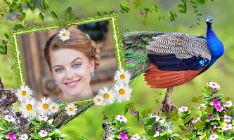 Peacock Photo Frames screenshot 1