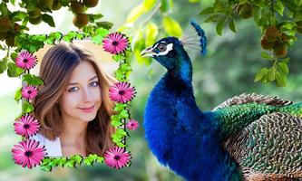 Peacock Photo Frames screenshot 2