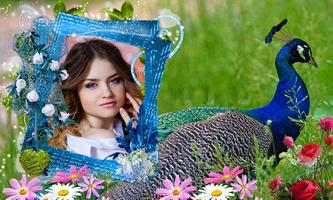 Peacock Photo Frames screenshot 3