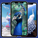 Beautiful Peacock Wallpaper 4K APK