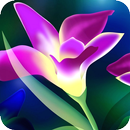 Flower Images aplikacja