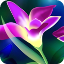 Flower Images APK