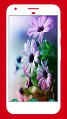 Flower Images アプリダウンロード