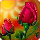 Rose Wallpaper APK