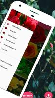 Rose Wallpapers plakat