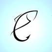 Hook Reports