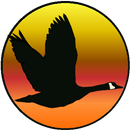 Wingmaster Waterfowl Hunting APK