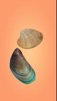 Pearl Master Affiche