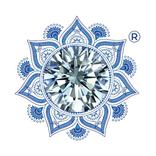 Vedic Astrologer Kapoor