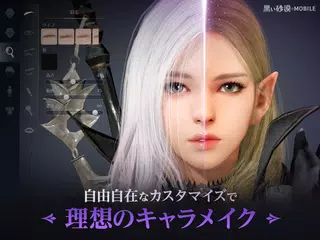 黒い砂漠 MOBILE APK 下載