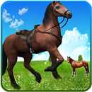 Horse Riding 2015 APK