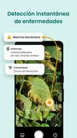 Plantix Poster