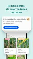 Plantix captura de pantalla 1