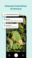 Plantix Cartaz