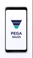 Pega Sales постер