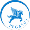 Pegasus Limo