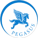 Pegasus Limo aplikacja