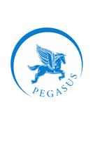 Pegasus Limo Plakat