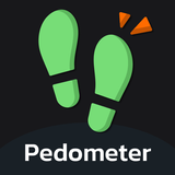 Pedometer Step Counter