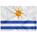 Achei em Palmas APK