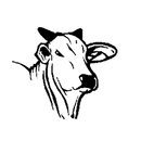 PH Nutrição Bovina APK