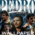 ”Pedro Pascal Wallpaper HD 4K