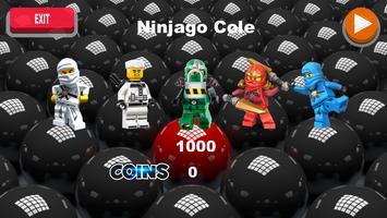 Super Ninja Go постер