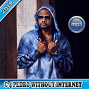 C4pedro - the best songs without internet APK