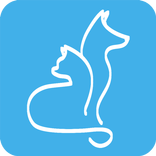 ”Cat Vs Dog -pet photos