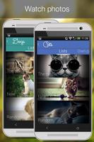 برنامه‌نما Cat Vs Dog -pet photos عکس از صفحه