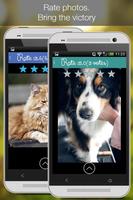 برنامه‌نما Cat Vs Dog -pet photos عکس از صفحه