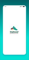 GreyHound الملصق