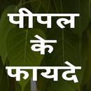 पीपल के फायदे APK