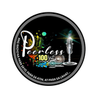 Peerless 100 FM simgesi
