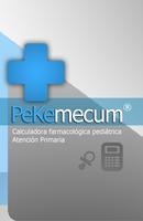 PeKemecum 포스터