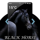 APK Black Horse Wallpaper HD