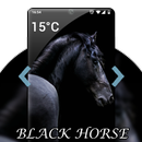 Black Horse Wallpaper HD APK