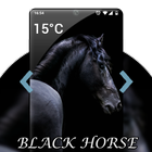 ikon Black Horse Wallpaper HD